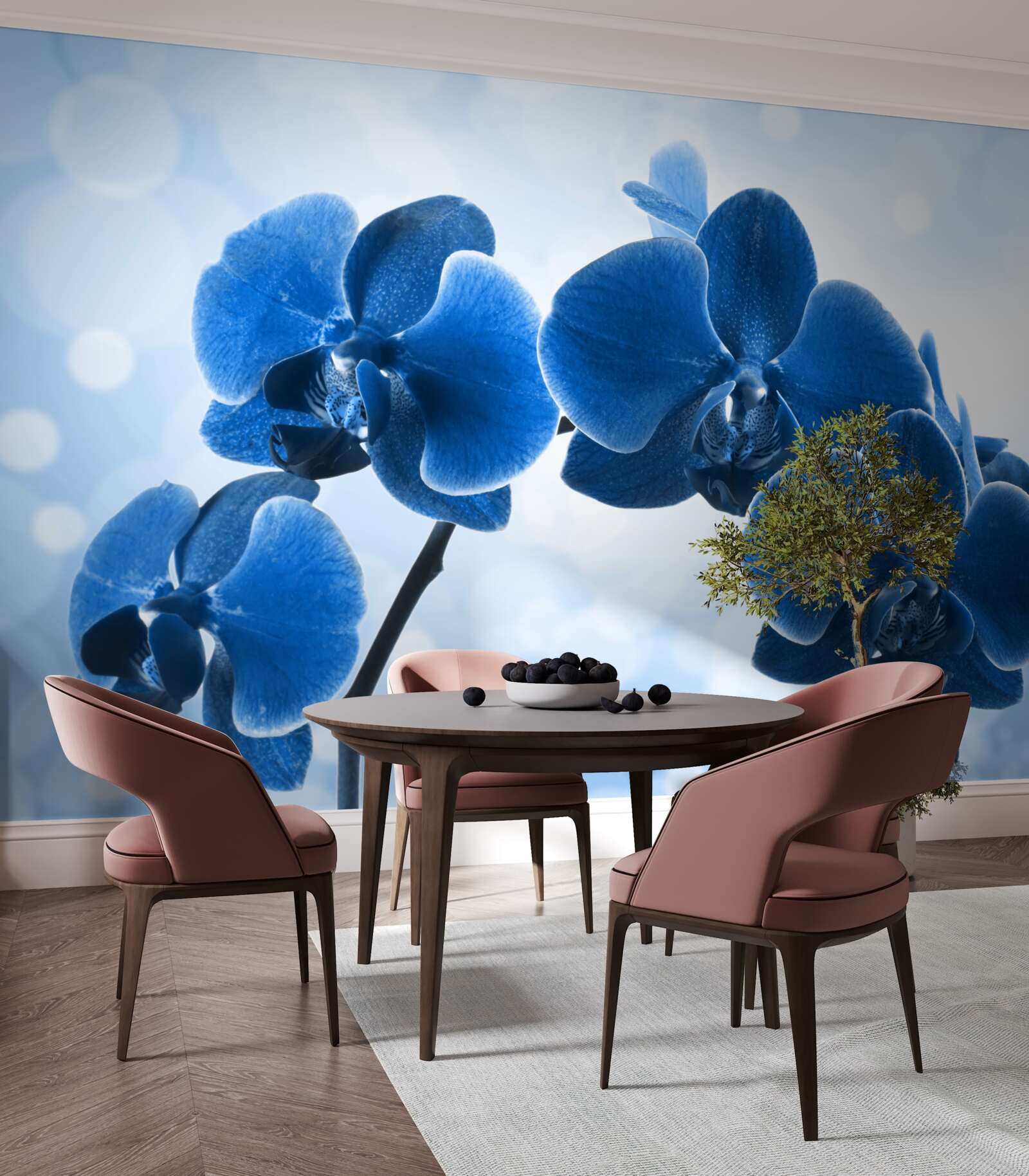 Fototapeta orchidey sú tmavomodrej farby