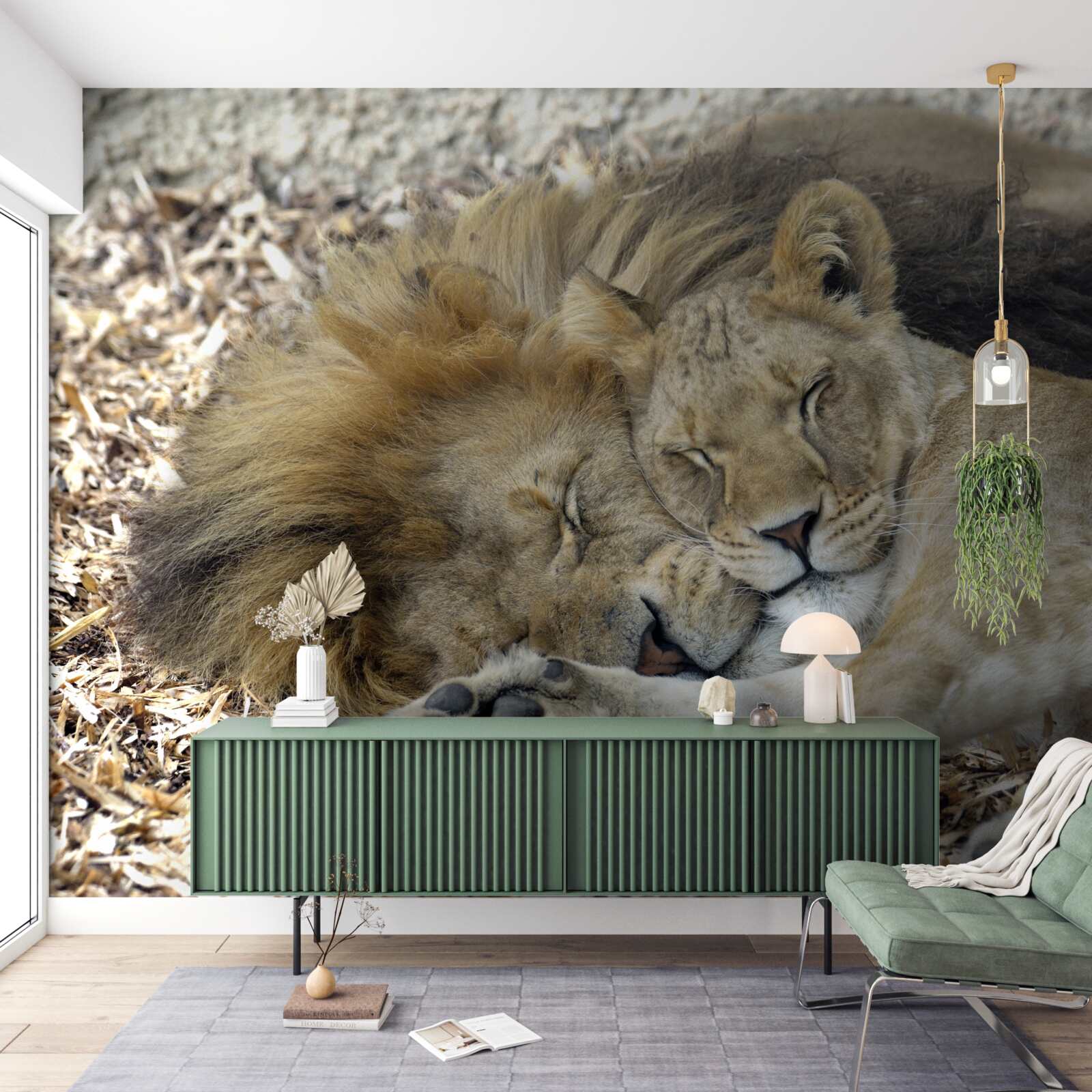 Fototapeta lev a levica tvoriaci manželský pár, sayat