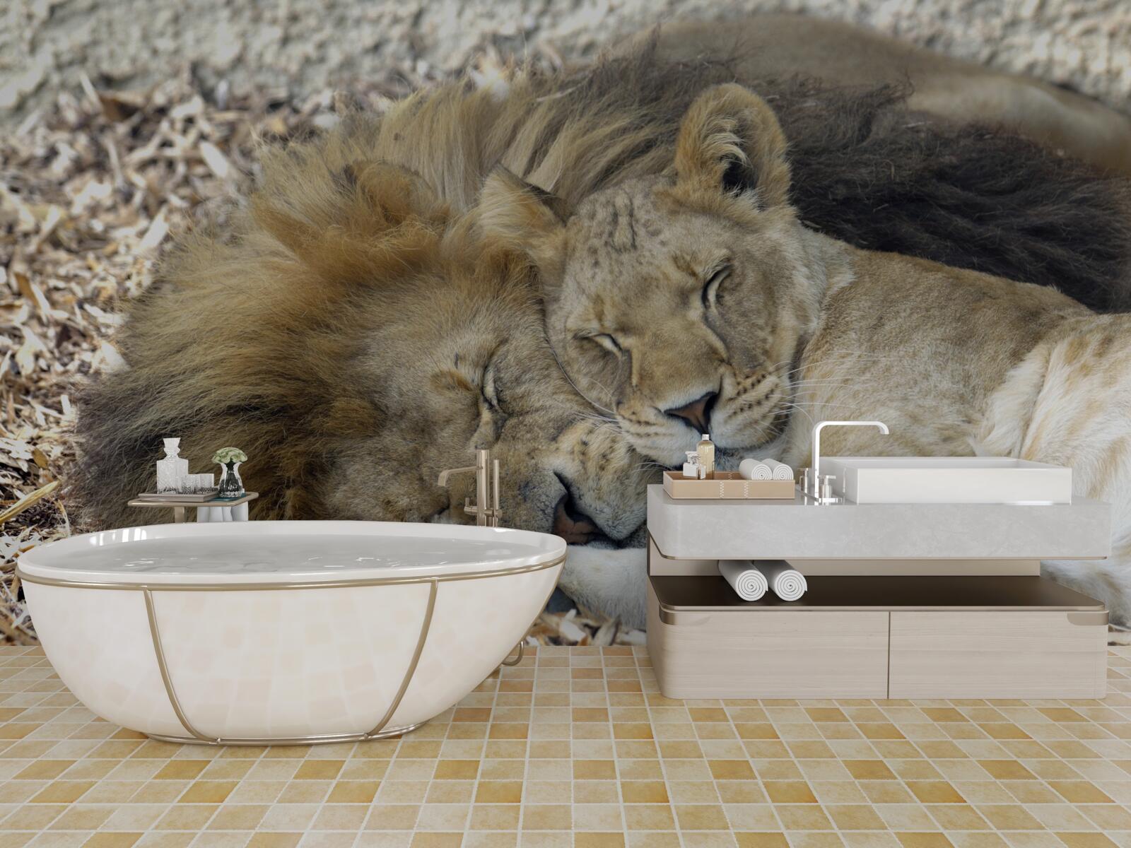 Fototapeta lev a levica tvoriaci manželský pár, sayat