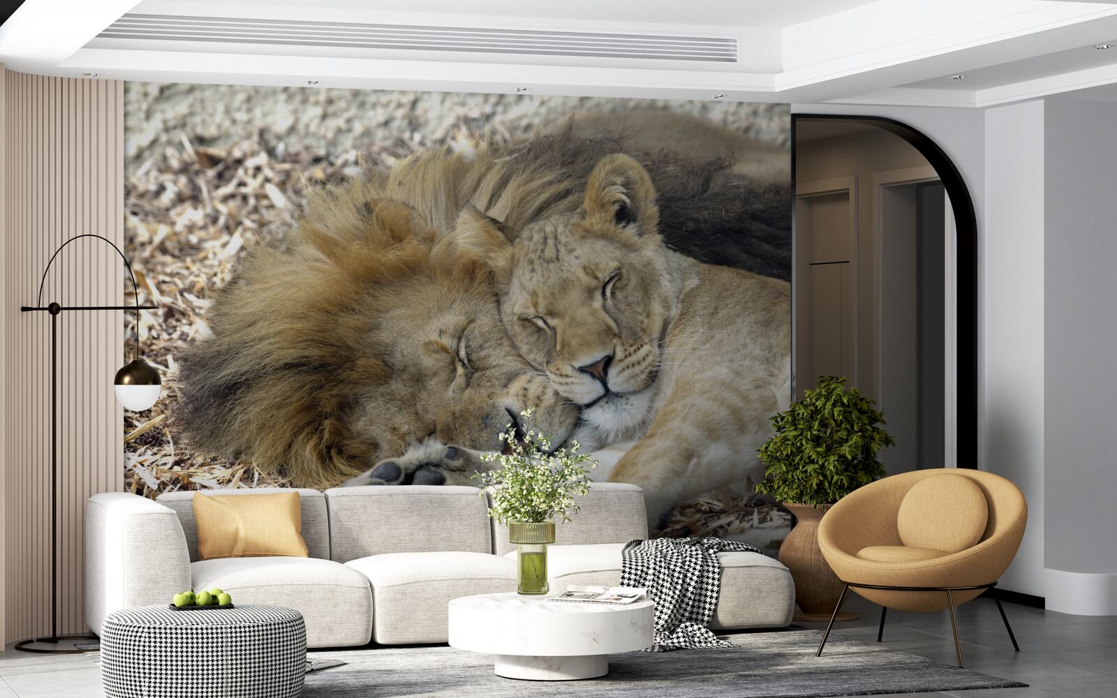 Fototapeta lev a levica tvoriaci manželský pár, sayat