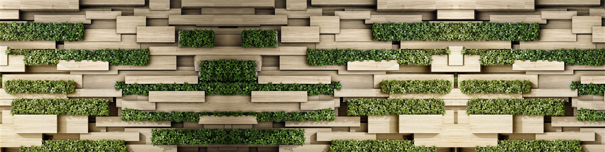 Fototapeta zelené rastliny na kamennej stene