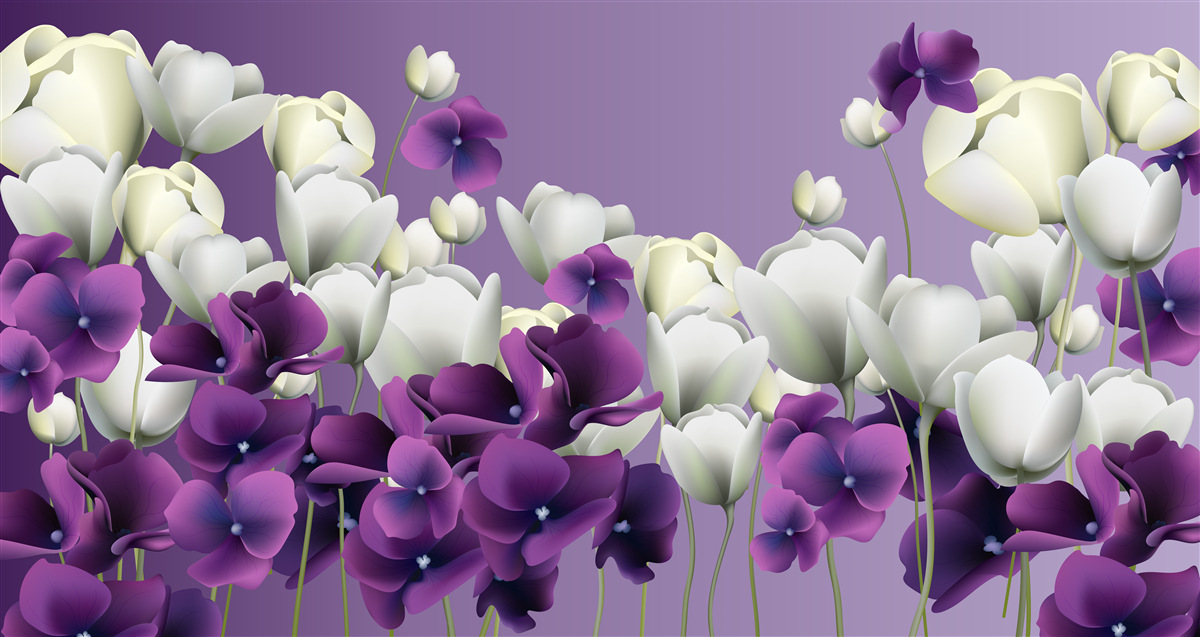 Fototapeta biele a fialové kvety