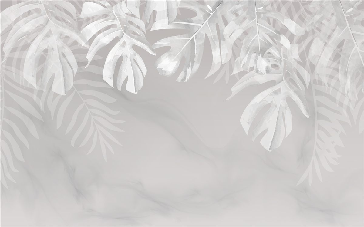 Fototapeta monsteras so snehovo bielymi visiacimi listami