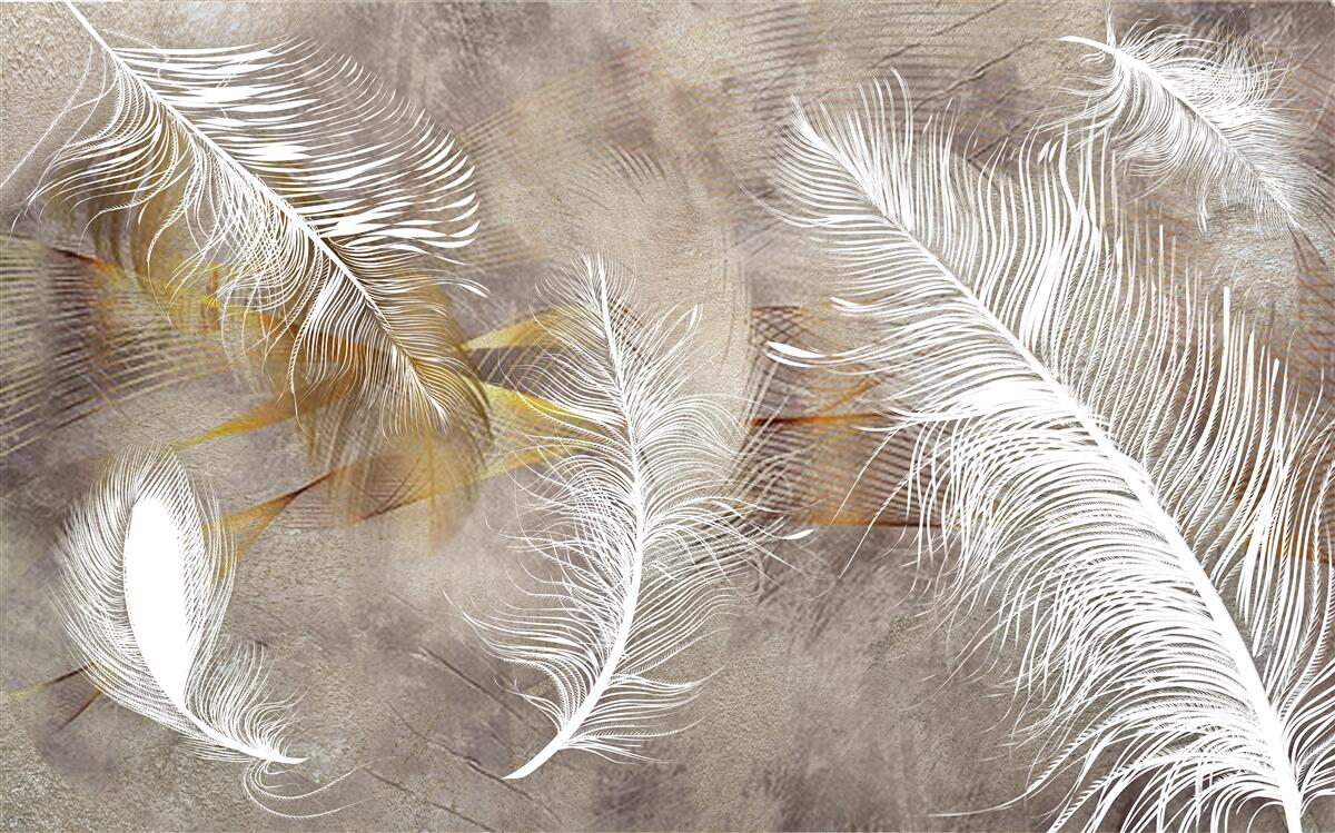 Fototapeta ozdobné pierka odkazujúce na ľahkosť vzduchu