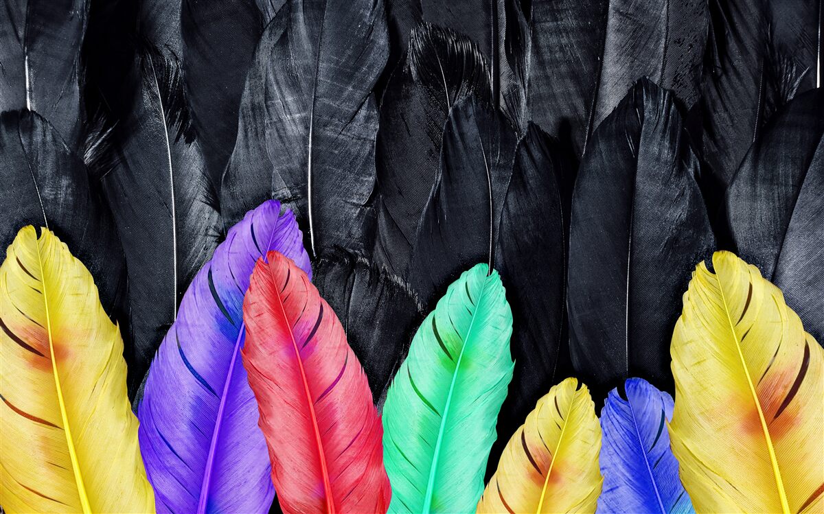 Fototapeta pozadie s jasnými veľkými perami