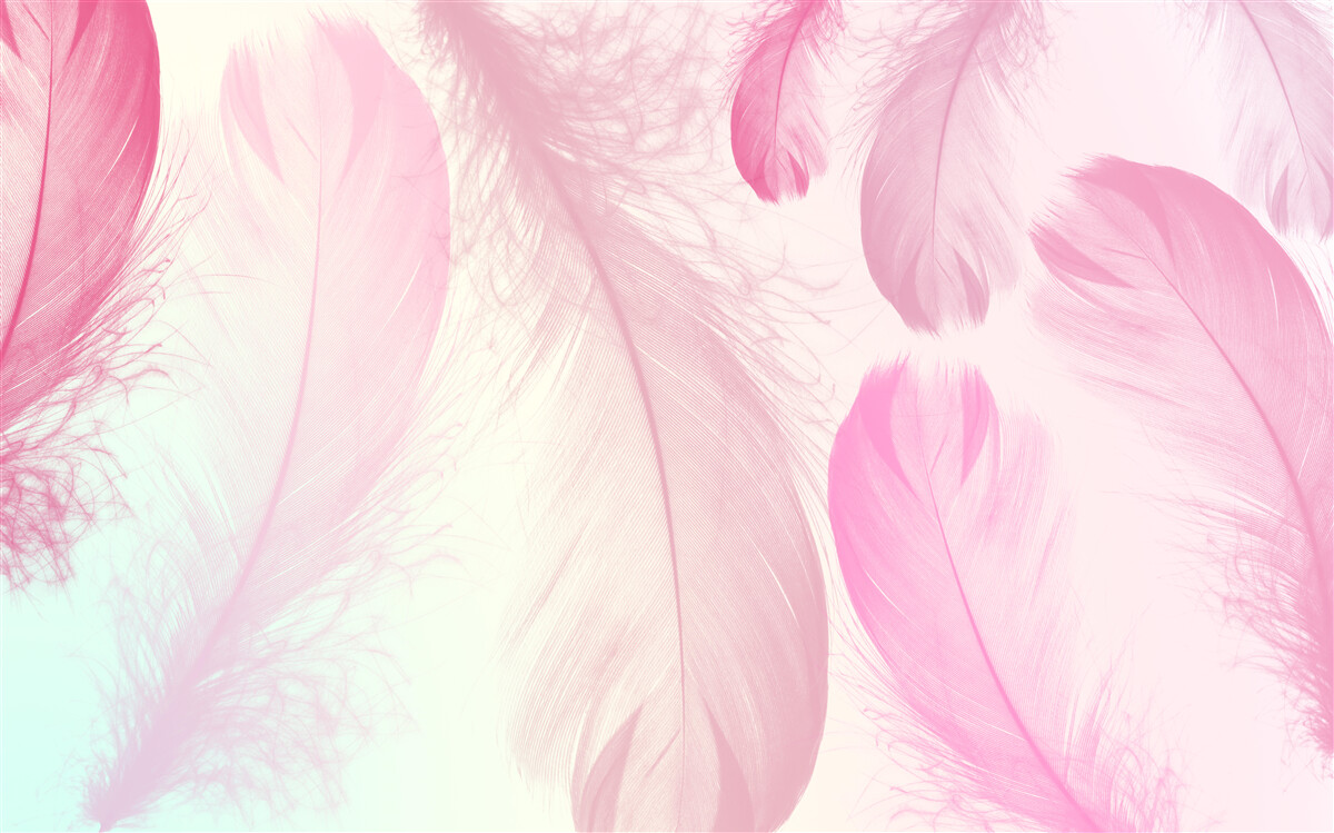 Fototapeta veľké perie s jemným ružovým odtieňom