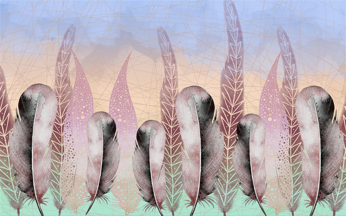 Fototapeta vektorová kolekcia peria