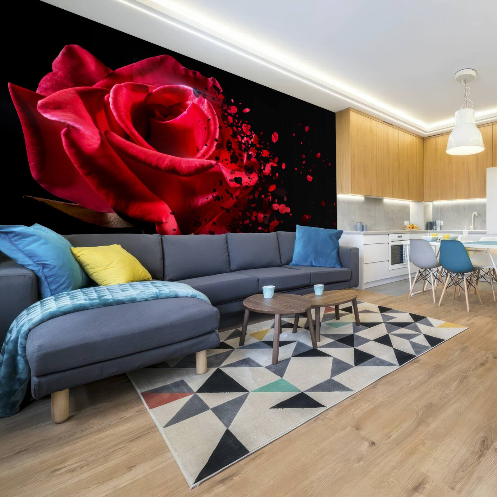 Fototapeta červená ruža kvitne na čiernom pozadí