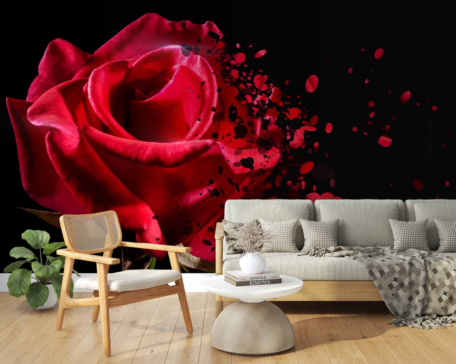 Fototapeta červená ruža kvitne na čiernom pozadí