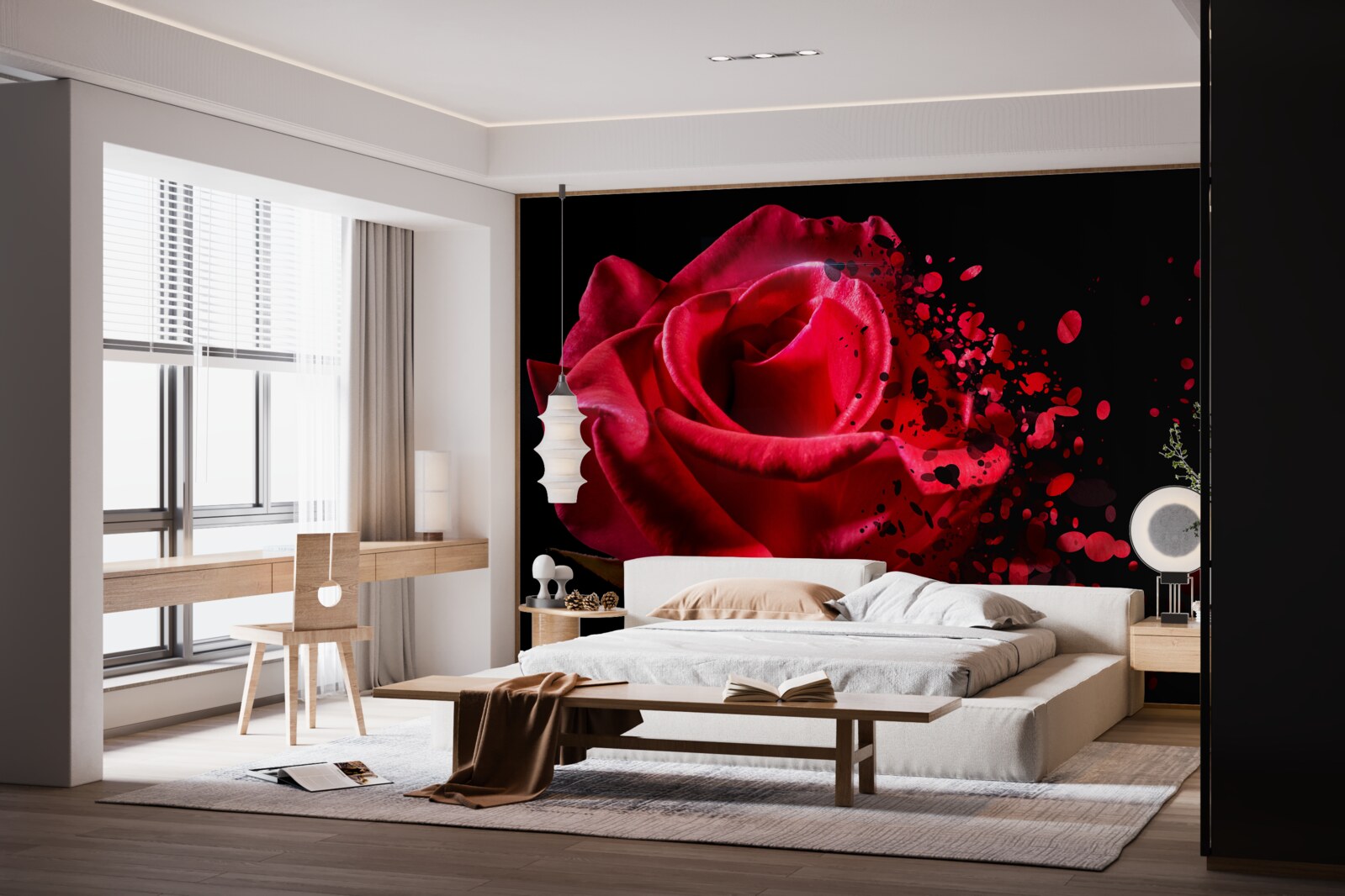 Fototapeta červená ruža kvitne na čiernom pozadí