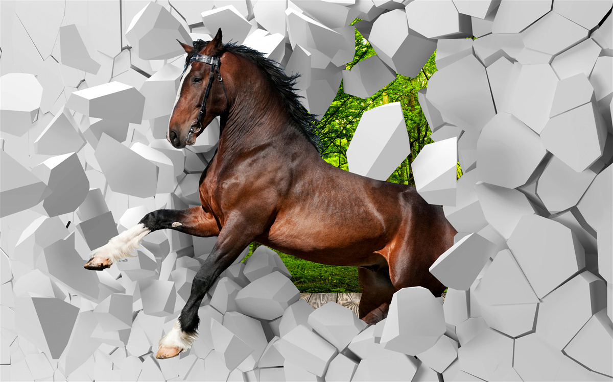 Fototapeta hnedý kôň prekonáva prekážku v podobe steny