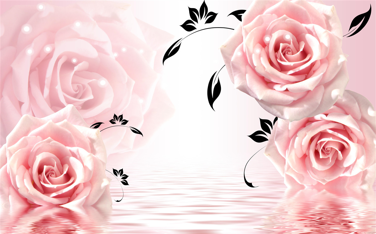 Fototapeta veľké ruže v jemnom ružovom odtieni