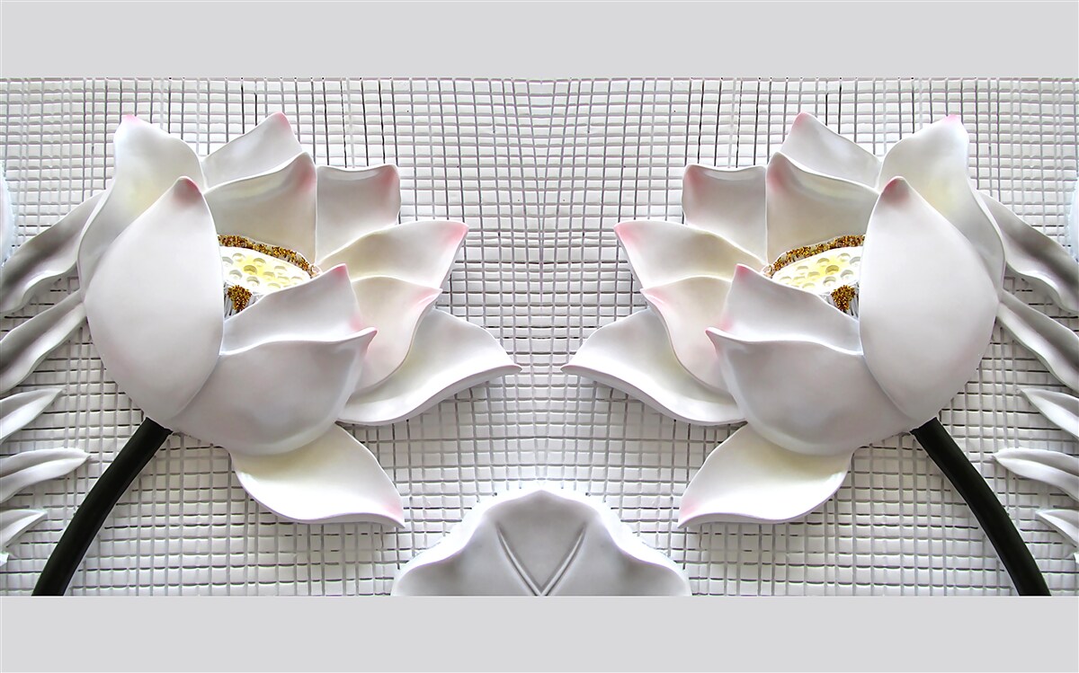 Fototapeta krabice s bielymi lotosmi