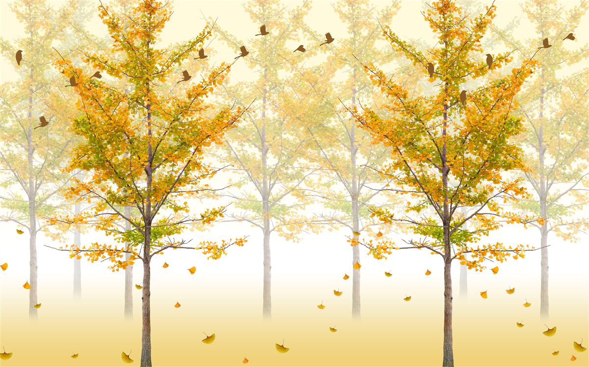 Fototapeta jesenné farby v listnatom lese