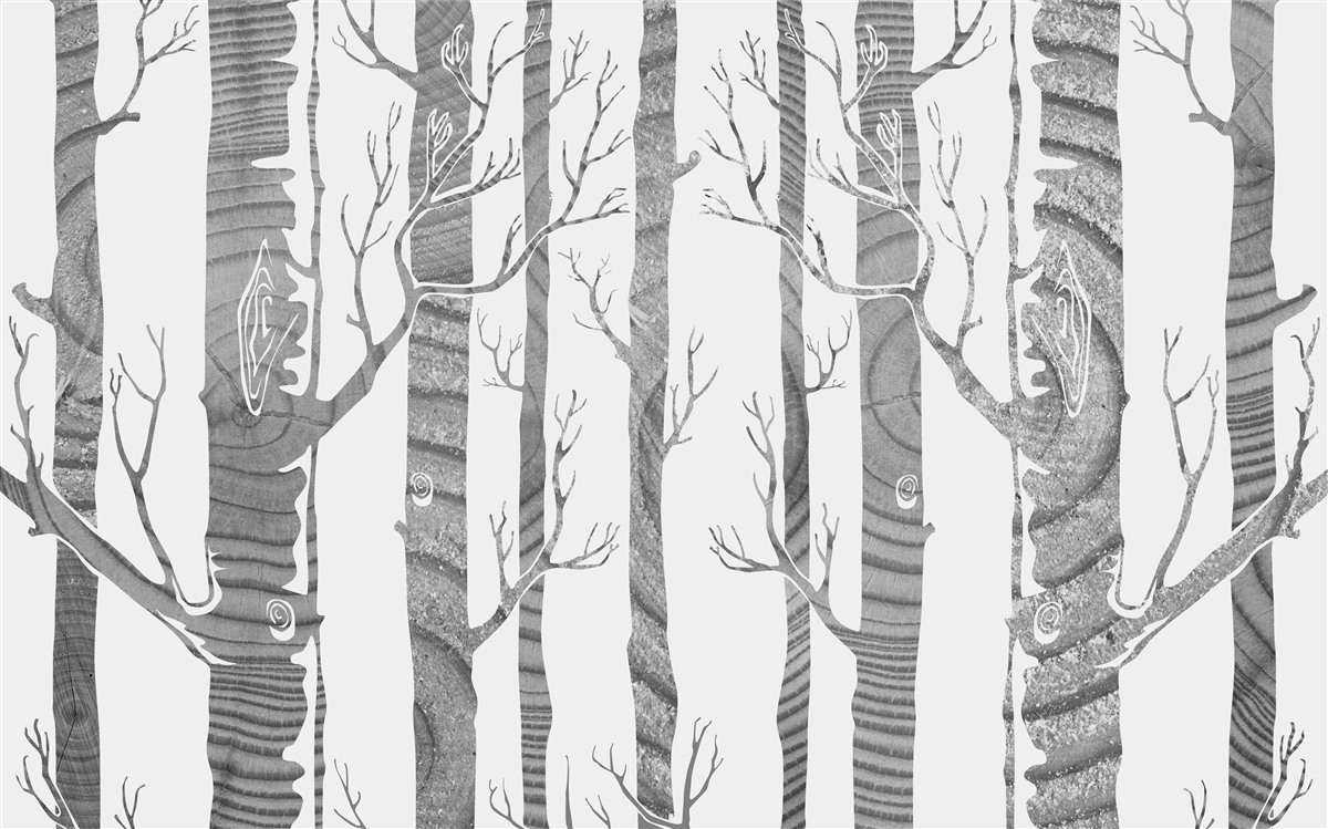 Fototapeta nezvyčajný brezový háj