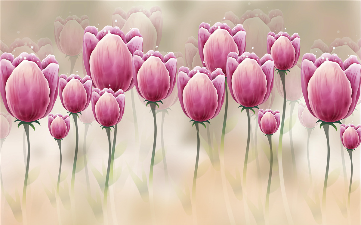 Fototapeta uzavreté karmínové tulipány