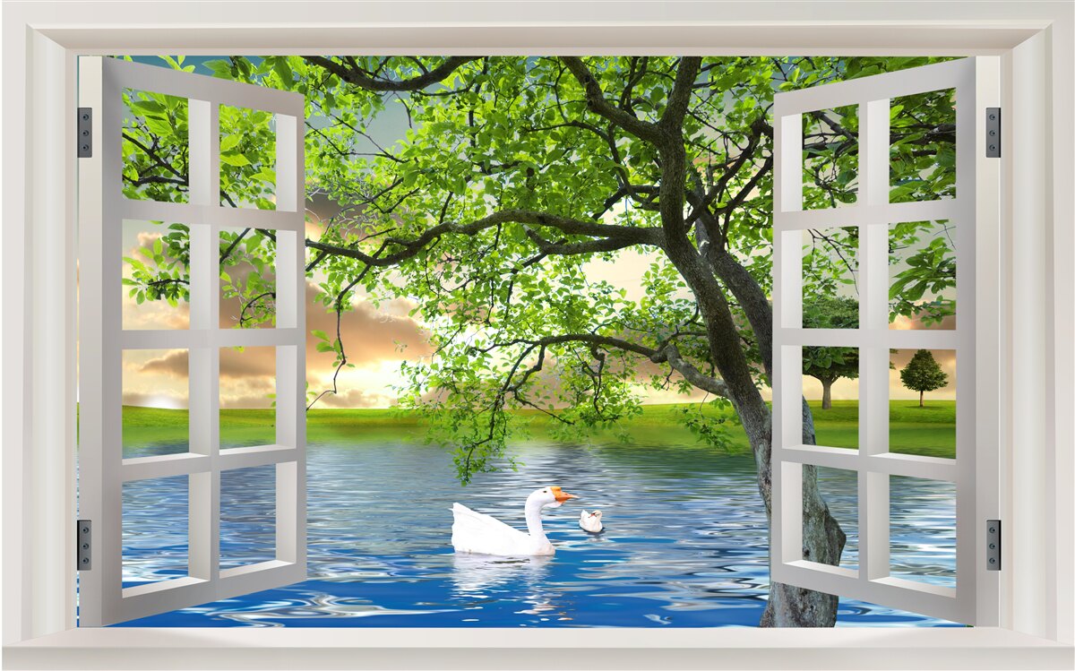 Fototapeta Na vode pri okne pláva labuť