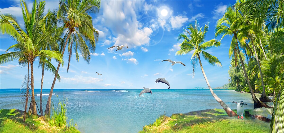 Fototapeta delfíny na prímorskej krajine