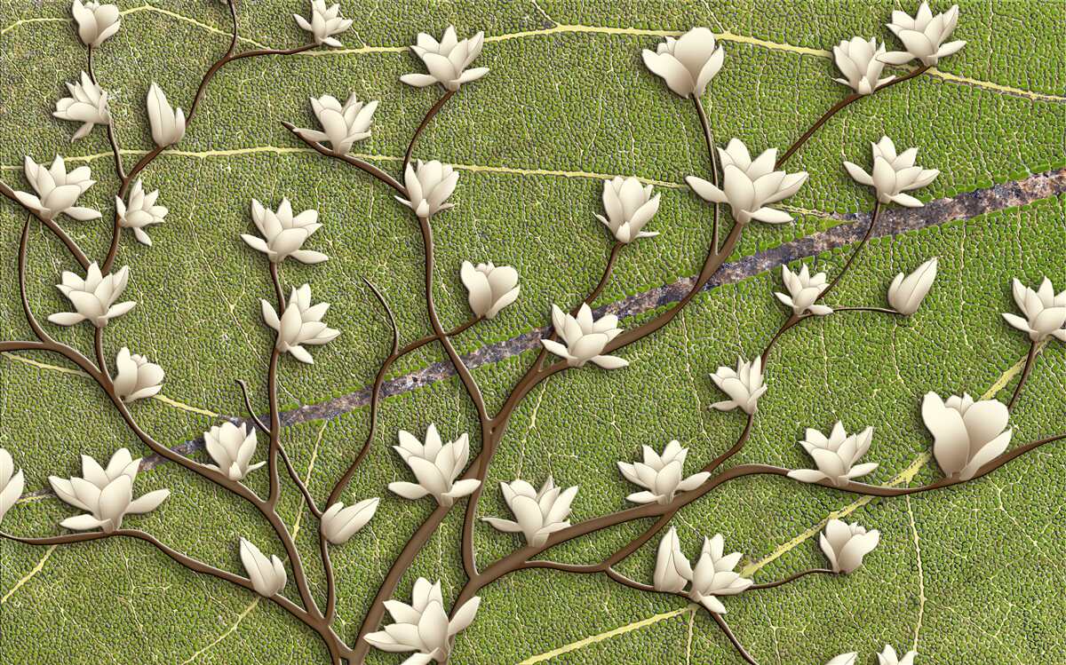 Fototapeta Snehobiele konáre magnólie na zelenom pozadí