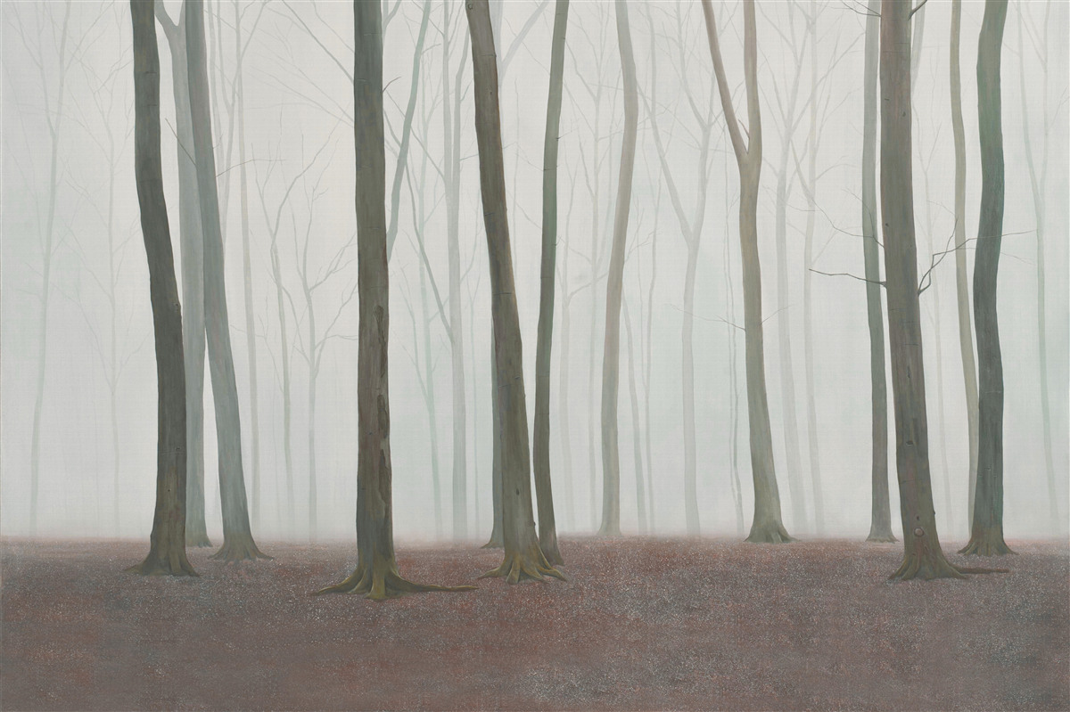 Fototapeta jednotlivé stromy obklopené hmlou