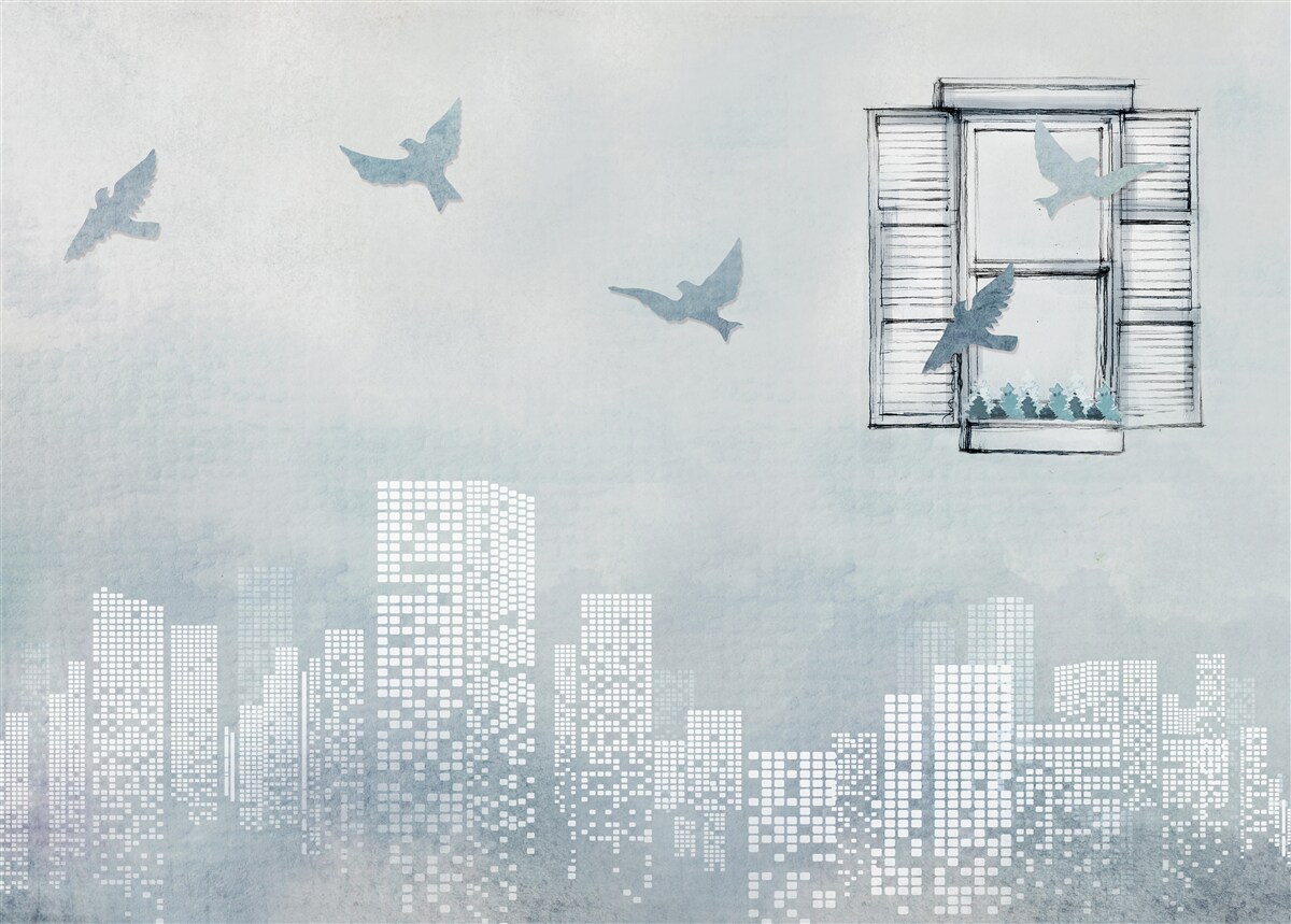 Fototapeta vtáky lietajúce nad veľkým mestom