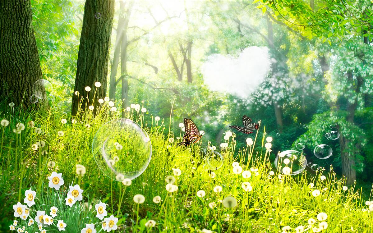 Fototapeta Mory na zelenej lúke