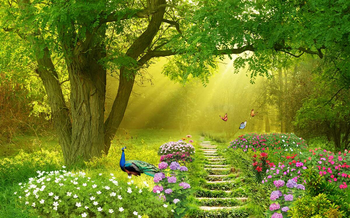 Fototapeta slnečné lúče ohrievajú les zahalený nočnou hmlou