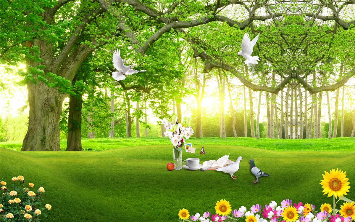 Fototapeta pokojný zelený trávnik za úsvitu