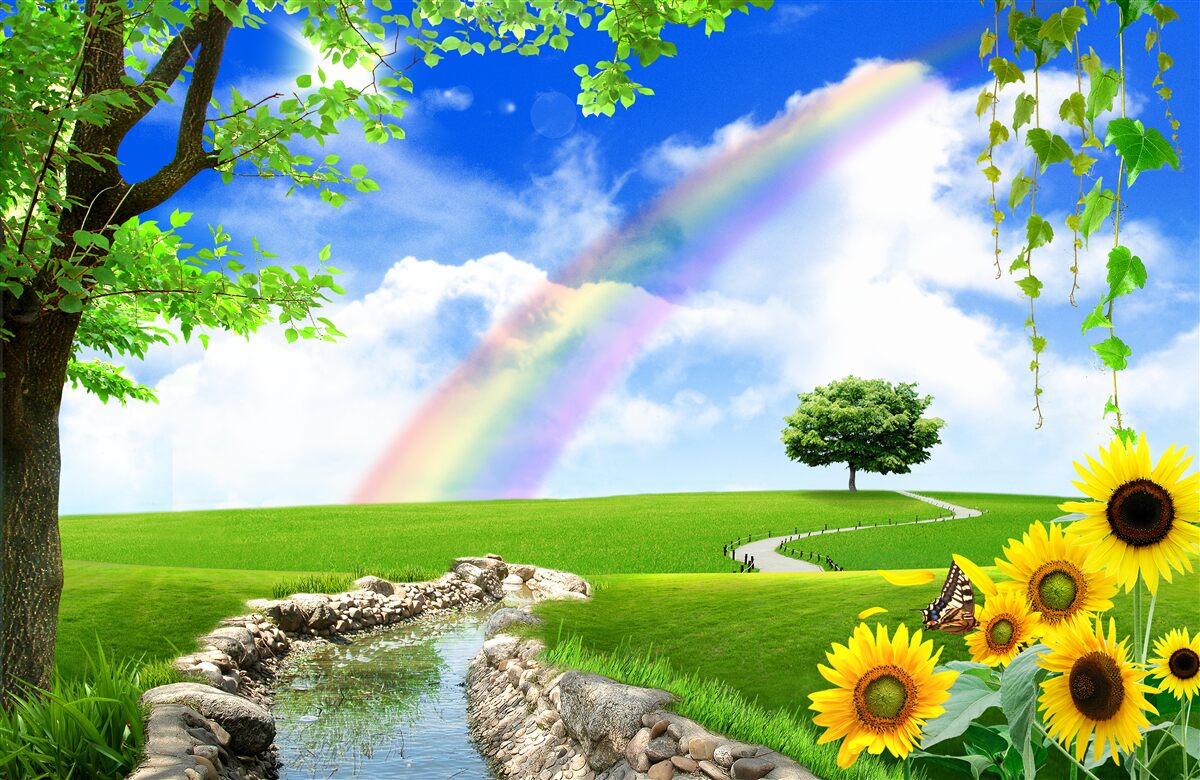 Fototapeta farebná žiara nad zelenou pasekou