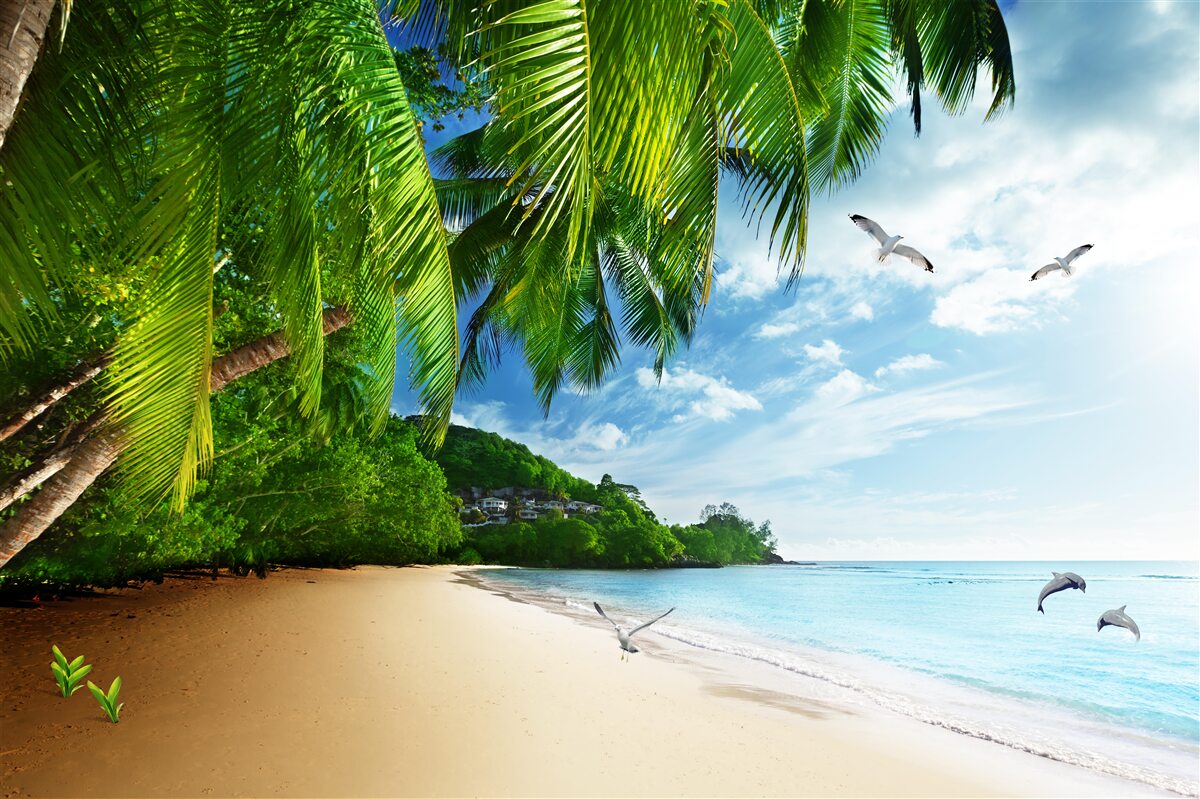 Fototapeta pustý ostrov s piesočnatou plážou