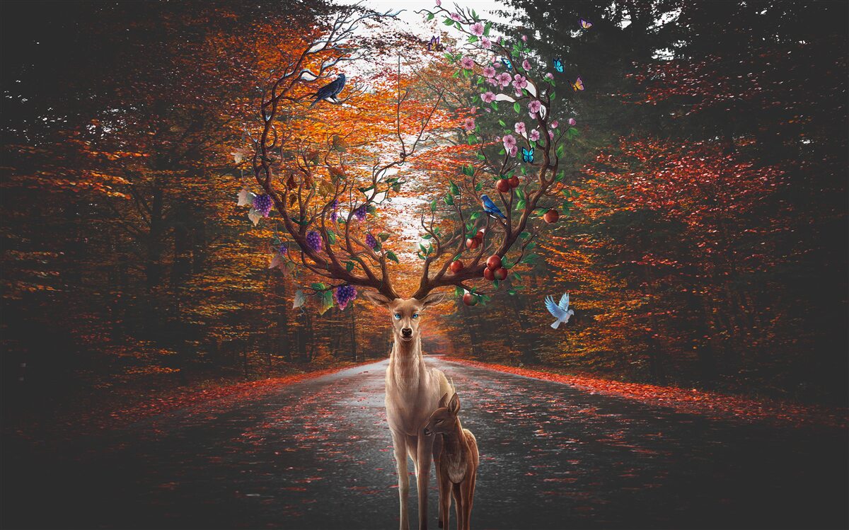 Fototapeta jesenné obdobie a dokonalé parožie dospelého jeleňa