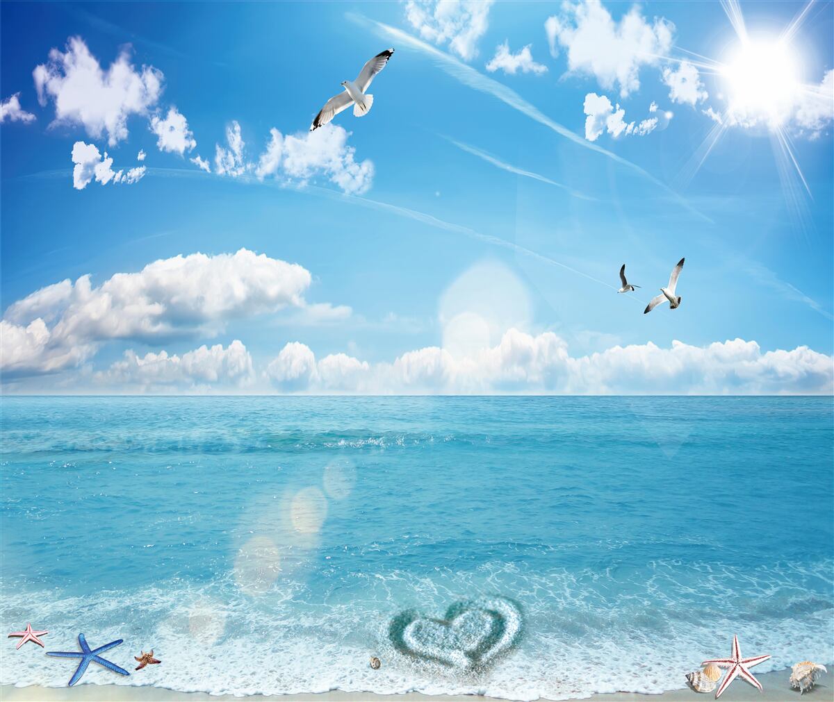 Fototapeta čajok cez modré vlny