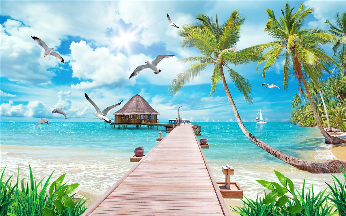 Fototapeta čajok a móla pri mori