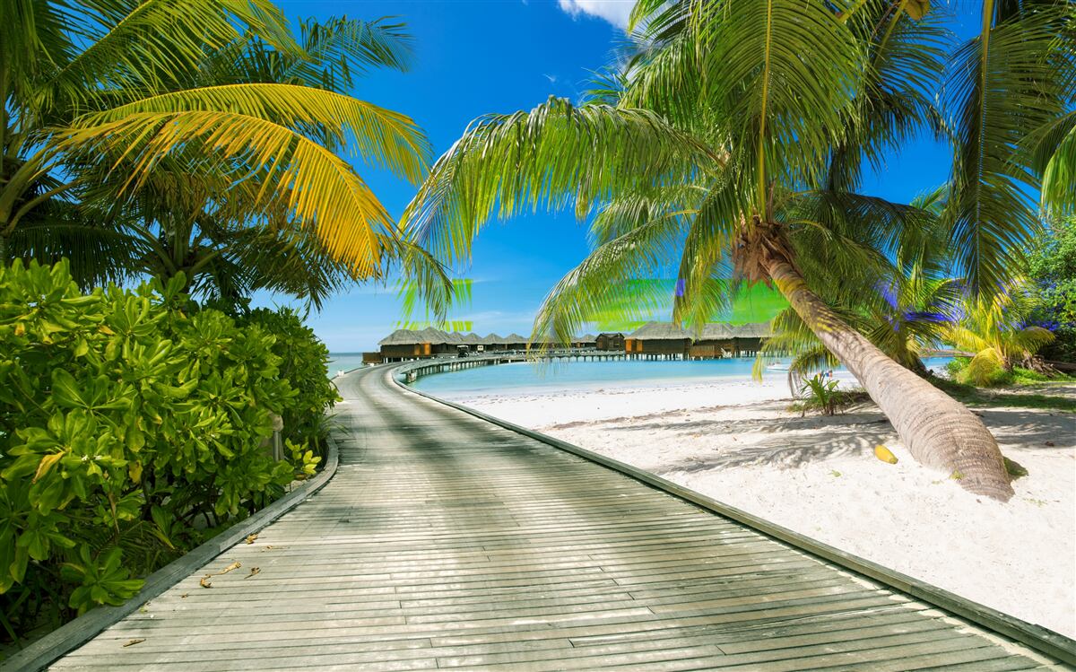 Fototapeta Cesta k prímorským chatám