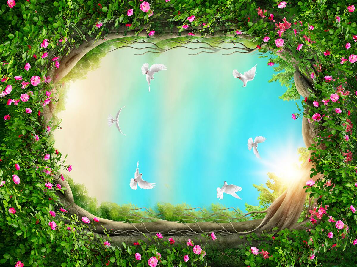 Fototapeta v zelenom ráme kvetov vznášajú sa holuby na oblohe