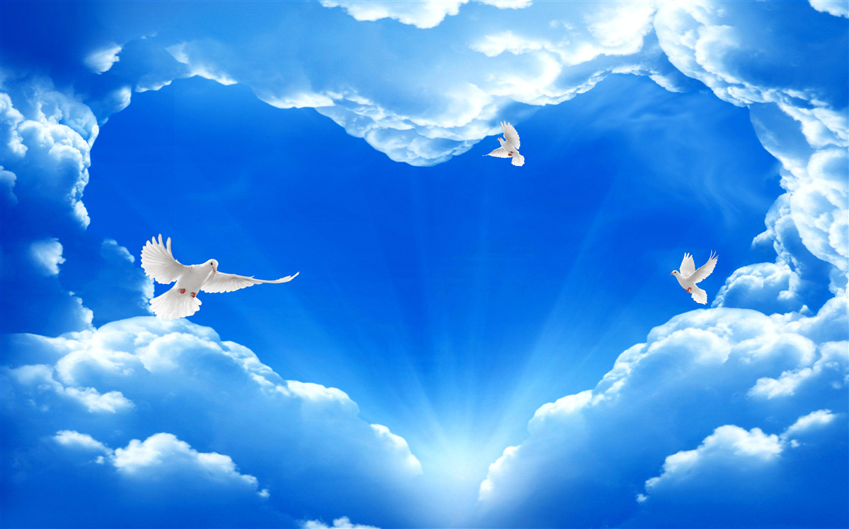 Fototapeta modré vtáky lietajú do neba