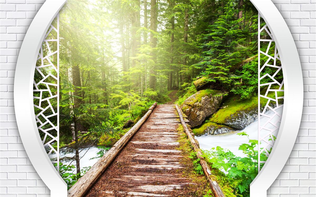 Fototapeta Horský chodník prechádzajúci hustým lesom