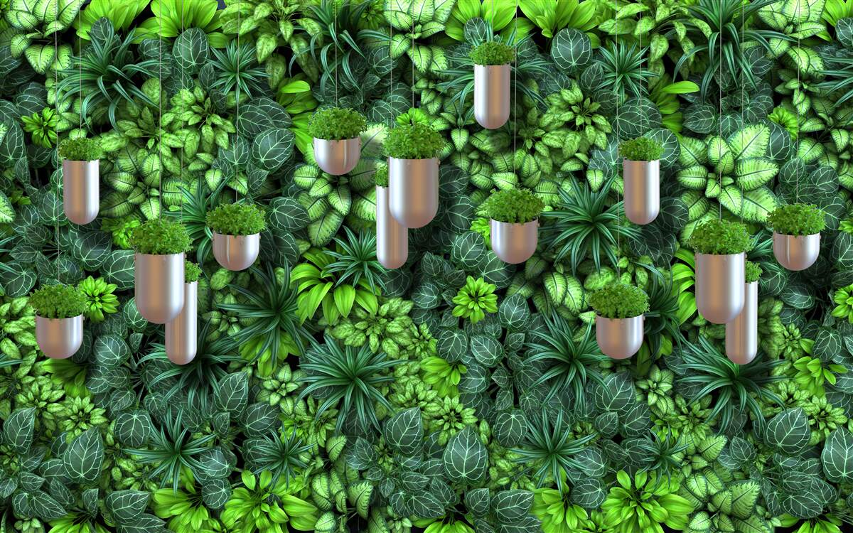 Fototapeta farba je zelená a rastliny sú v črepníku