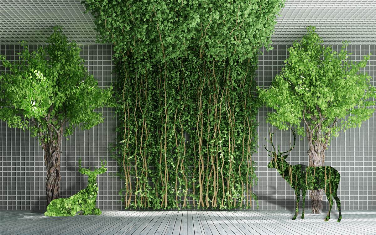 Fototapeta zelený les obklopuje scénu jeleňa