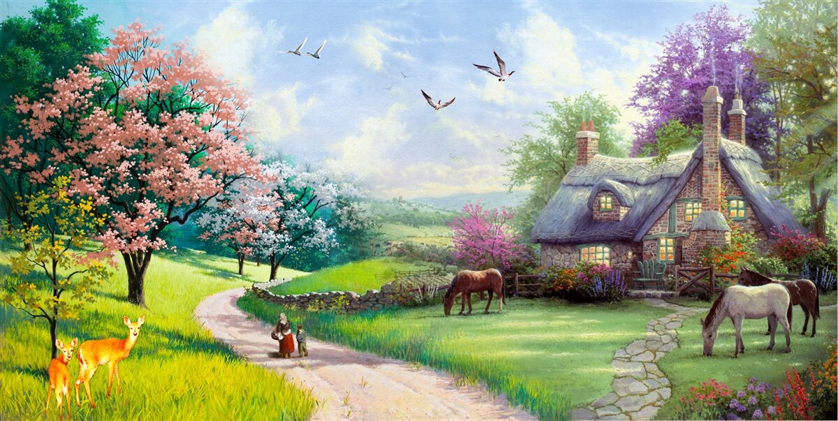 Fototapeta tichý letný domček v lese