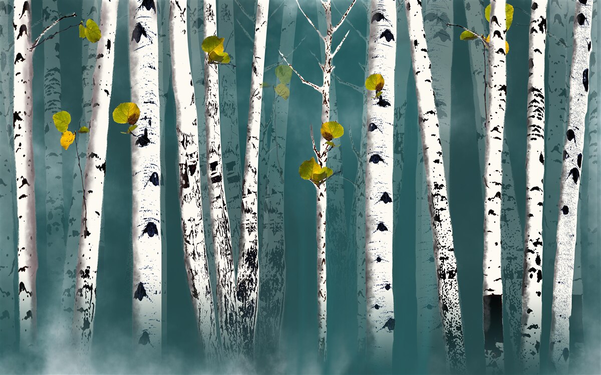 Fototapeta brezy boli zahalené hmlistým závojom