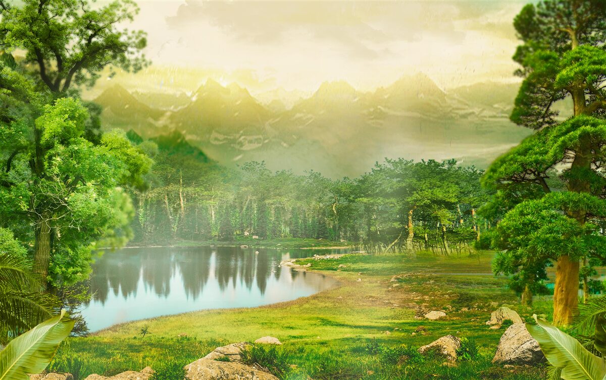 Fototapeta zelený les v noci cíti teplo slnka