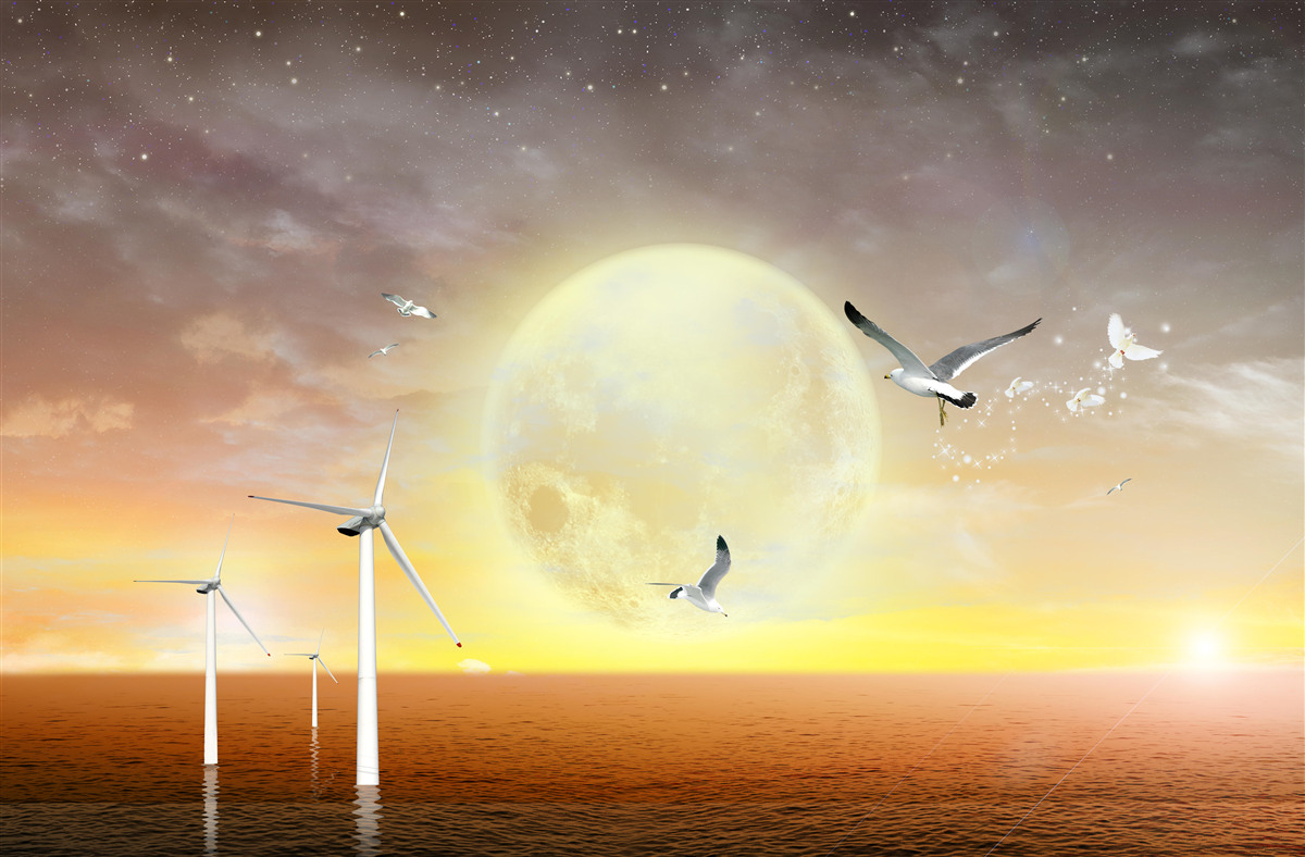 Fototapeta západ slnka nad morom sprevádza krik čajok