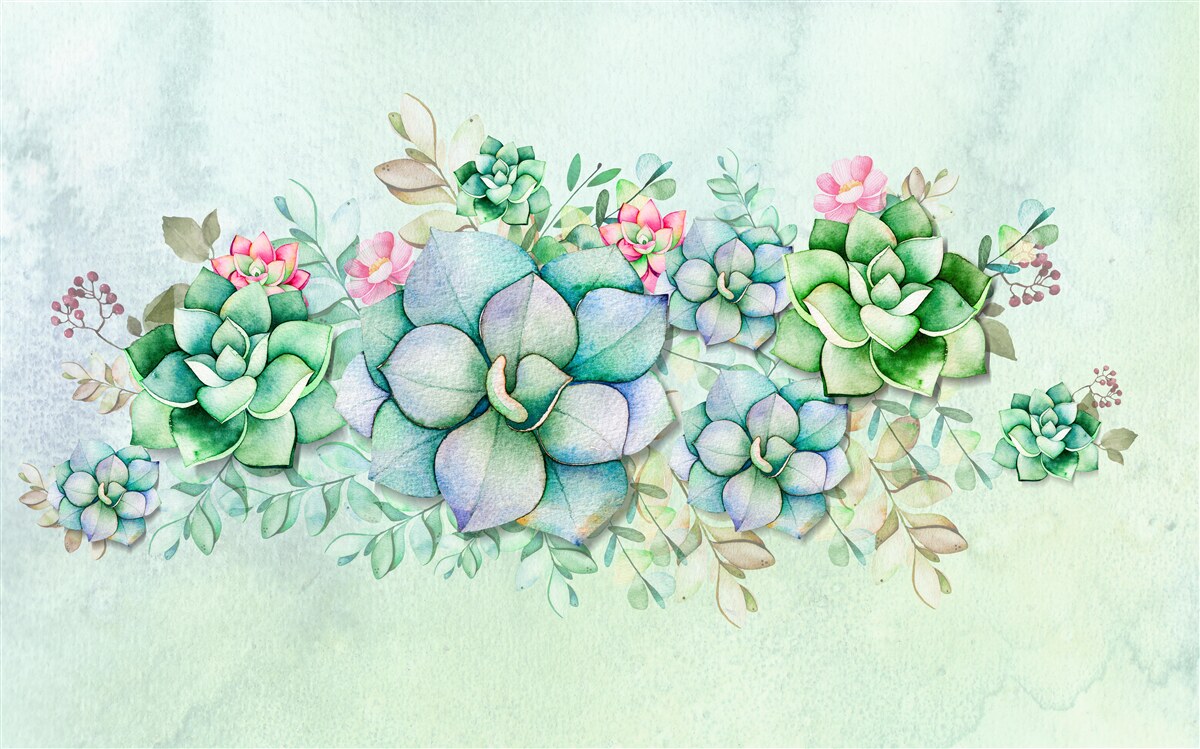 Fototapeta sada zelených sukulentov