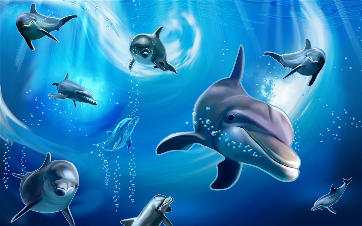 Fototapeta roztomilé delfíny v morskej priepasti