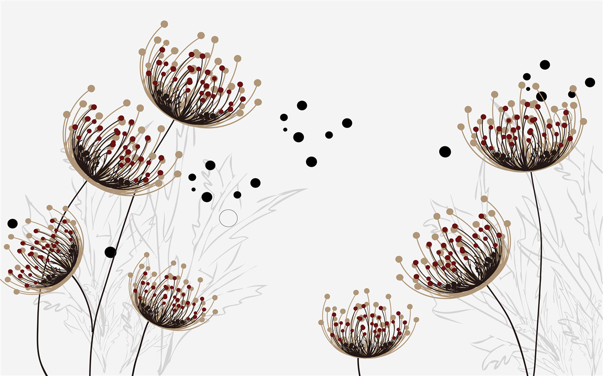 Fototapeta biele pozadie zdobené púpavami