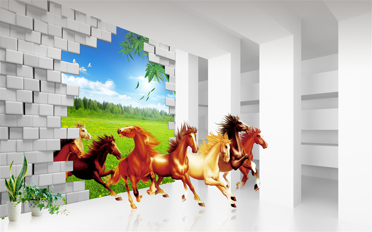 Fototapeta Z lúky sa ponáhľajú zástupcovia rôznych plemien koní