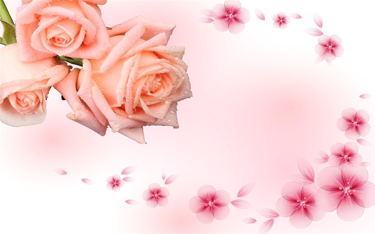 Fototapeta ružové kvety na pozadí rovnakej farby