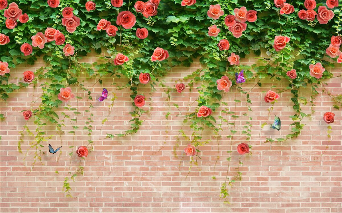 Fototapeta karmínové kvety na tehlovej stene