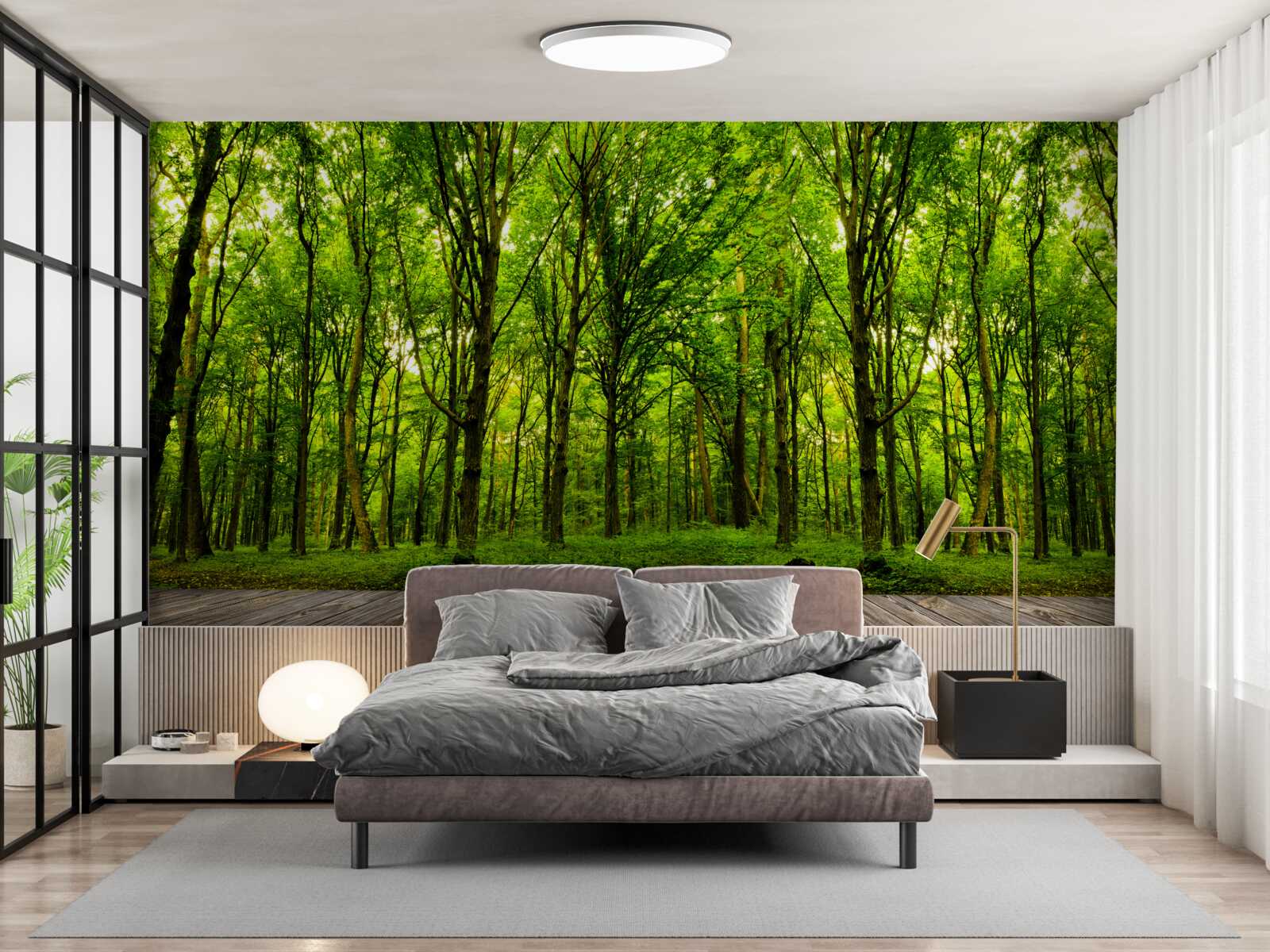 Fototapeta zelený les, štíhly a bohatý, osvetlený lúčmi slnka